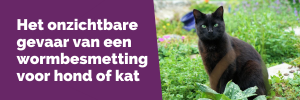 Het onzichtbare gevaar van een wormbesmetting voor hond of kat 